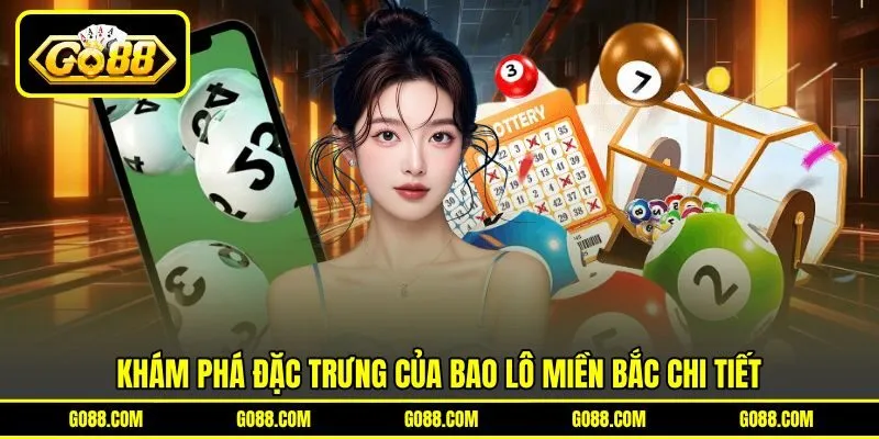 Khám phá đặc trưng của bao lô miền Bắc chi tiết