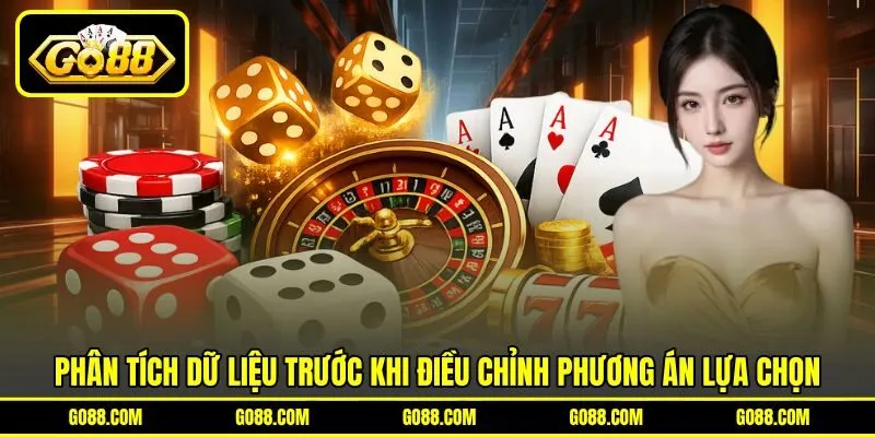 Phân tích dữ liệu trước khi điều chỉnh phương án lựa chọn